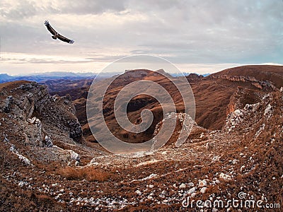 Dramatic landscape with flight lonely eagle - view of a chilly autumn valley blurred in a morning haze and steep red stone cliffs Stock Photo