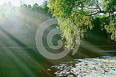 Dramatic light rays at park pond landscape background Stock Photo