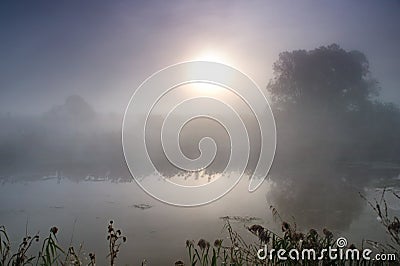 Dramatic mystical twilight landscape with rising sun, tree, reed and fog over water. Stock Photo