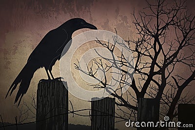A dramatic shot of a black raven perched on a spooky fencepost Stock Photo