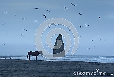 Dramatic Shot with Lonely Horse on Kunashir island with Devil`s Finger on Background Stock Photo