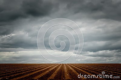 Dramatic sky over a furrowed field Stock Photo