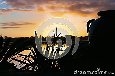 Dramatic sky at sunrise with silhouette large urn and flax Stock Photo