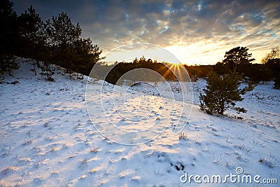 Sunset over winter hill in Veluwe Stock Photo