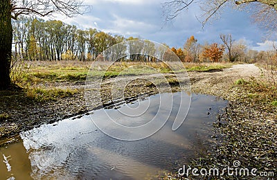 Dramatic view of a puddle after the autumn rain Stock Photo