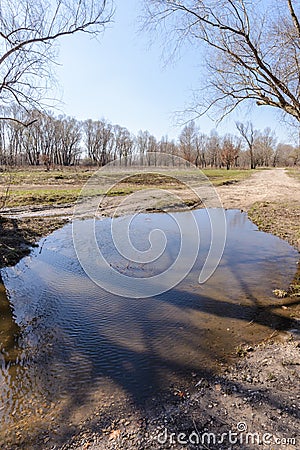 Dramatic view of a puddle after the spring rain Stock Photo
