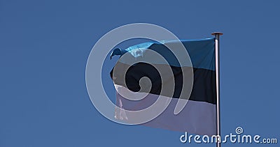 Drapeau estonien agitant au vent, au ralenti illustration de vecteur Drapeau estonien agitant au vent, au ralenti illustration de vecteur