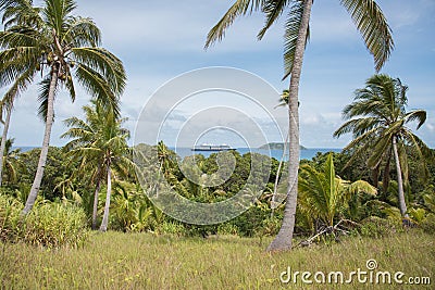 Dravuni Island with Cruise Ship View Editorial Stock Photo