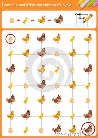 Draw line and follow the chicken life cycle. Vector Illustration