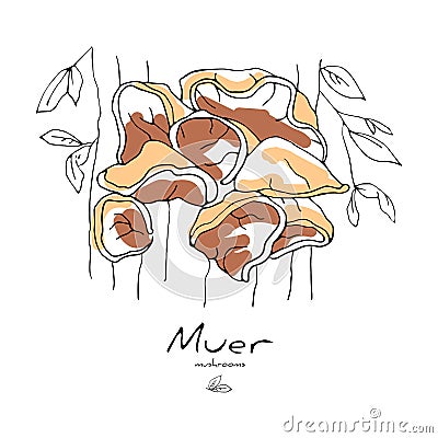 draw mushroom muer, an Auricularia auricula judae Cartoon Illustration