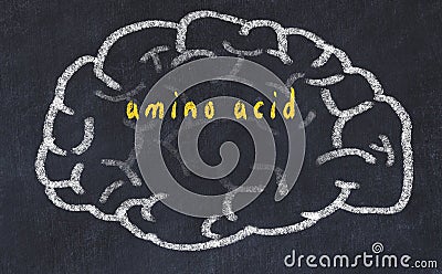 Drawind of human brain on chalkboard with inscription amino acid Stock Photo