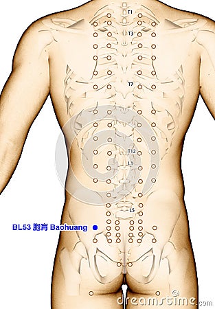 Drawing Acupuncture Point BL53 Baohuang, 3D Illustration Stock Photo