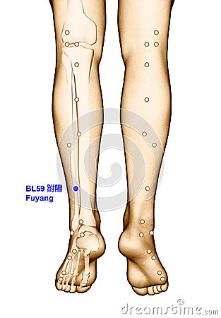 Drawing Acupuncture Point BL59 Fuyang, 3D Illustration Stock Photo