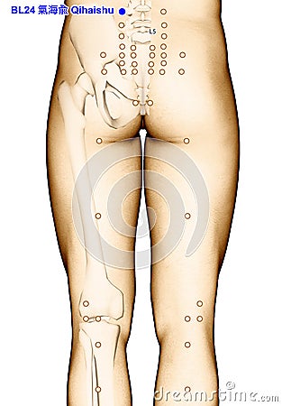 Drawing Acupuncture Point BL24 Qihaishu, 3D Illustration Stock Photo