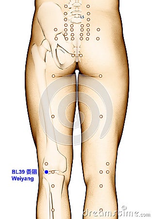 Drawing Acupuncture Point BL39 Weiyang, 3D Illustration Stock Photo