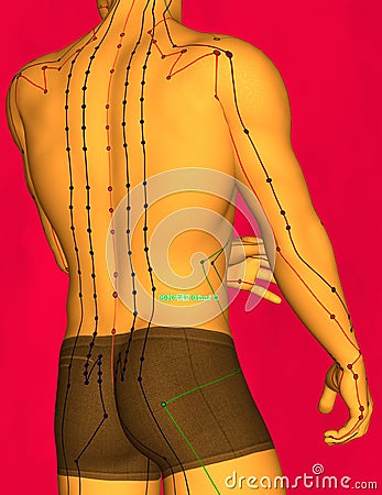 Drawing Acupuncture Point GB26 Daimai, 3D Illustration, Red Back Stock Photo