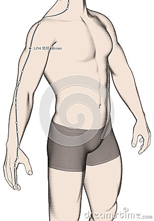 Drawing Acupuncture Point LI14 Binao, 3D Illustration Stock Photo