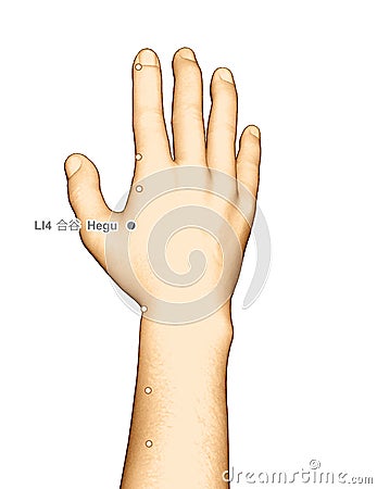 Drawing Acupuncture Point LI4 hegu, 3D Illustration Stock Photo