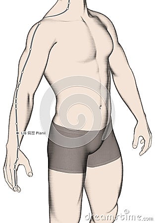 Drawing Acupuncture Point LI6 Pianli, 3D Illustration Stock Photo