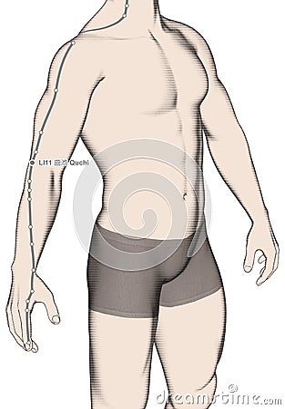 Drawing Acupuncture Point LI11 Quchi, 3D Illustration Stock Photo