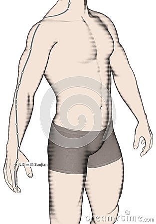 Drawing Acupuncture Point LI3 Sanjian, 3D Illustration Stock Photo