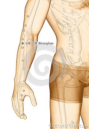 Drawing Acupuncture Point LI9 Shanglian, 3D Illustration Stock Photo