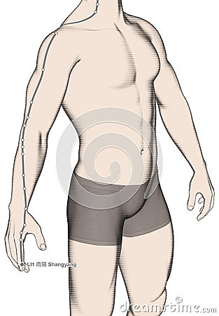 Drawing Acupuncture Point LI1 Shangyang, 3D Illustration Stock Photo