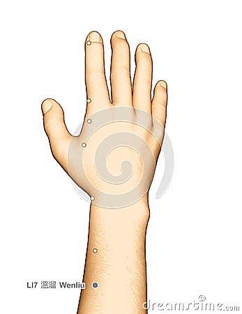 Drawing Acupuncture Point LI7 Wenliu, 3D Illustration Stock Photo