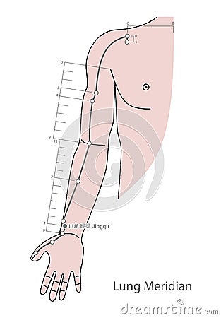 Drawing Acupuncture Point LU8 Jingqu, 3D Illustration Stock Photo