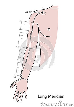 Drawing Acupuncture Point LU2 Yunmen, 3D Illustration Stock Photo