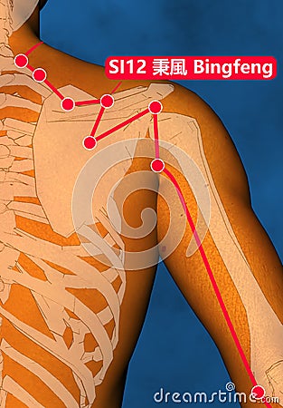 Drawing Acupuncture Point SI12 Bingfeng, 3D Illustration, Blue Background Stock Photo