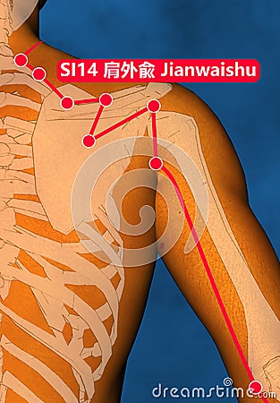Drawing Acupuncture Point SI14 Jianwaishu, 3D Illustration, Blue Background Stock Photo