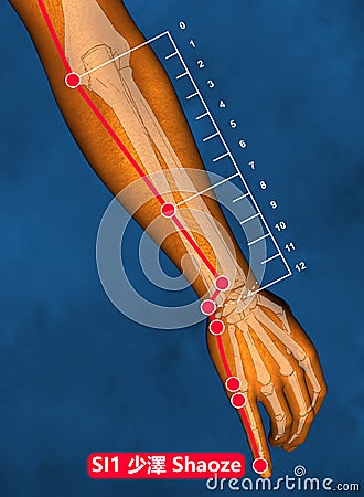 Drawing Acupuncture Point SI1 Shaoze, 3D Illustration, Blue Background Stock Photo