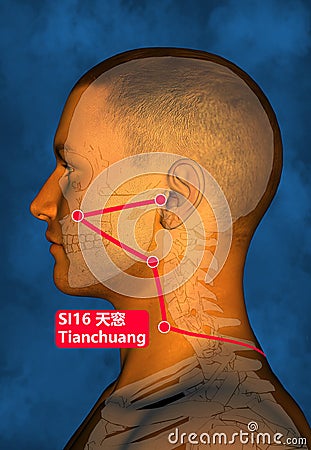 Drawing Acupuncture Point SI16 Tianchuang-acu2021, 3D Illustration, Blue Background Stock Photo