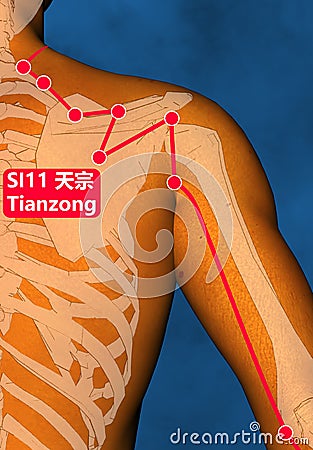 Drawing Acupuncture Point SI11 Tianzong, 3D Illustration, Blue Background Stock Photo