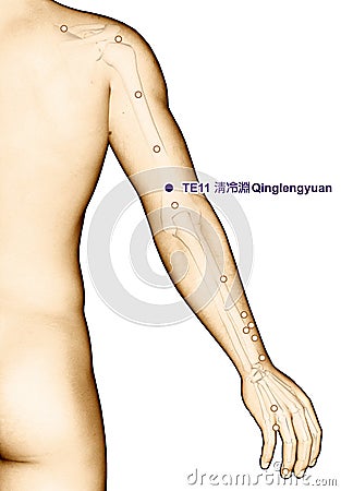 Drawing Acupuncture Point TE11 Qinglengyuan, 3D Illustration Stock Photo