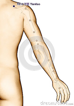 Drawing Acupuncture Point TE15 Tianliao, 3D Illustration Stock Photo