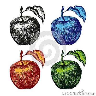 Apple fruit set hand drawn vector illustration sketch Vector Illustration