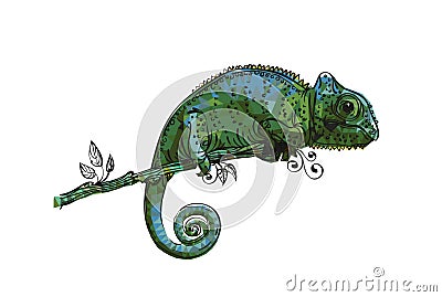 Drawing of a chameleon gray-green Vector Illustration