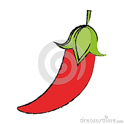 Drawing chili pepper culinary food Vector Illustration