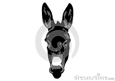 Drawing of Donkey head with white background Cartoon Illustration