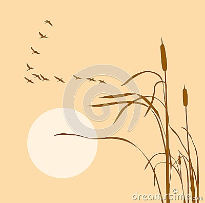 Drawing flock geese Vector Illustration