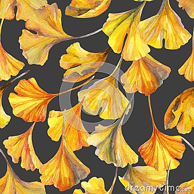 Drawing of ginkgo leaf, water color paper textures. Floral background for fall design. Cartoon Illustration