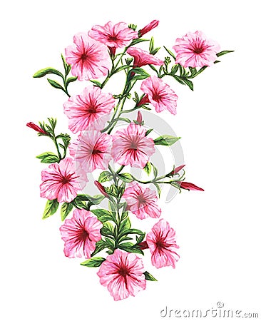Drawing by hand markers pink petunia blossoms Stock Photo