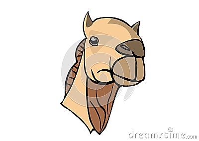 Drawing of head camel with a white background Cartoon Illustration