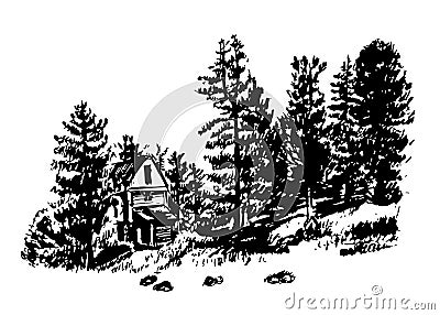 Drawing a house among the pines and firs illustration Vector Illustration