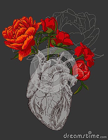 Drawing Human heart with flowers Stock Photo