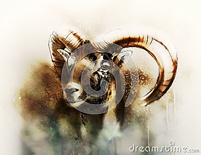Drawing of male wild sheep with mighty horns on abstract blurry background. Stock Photo
