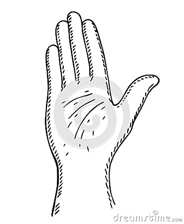 Drawing of an open hand. Hand counting vector illustration isolated on white background. Open palm with number five in Vector Illustration