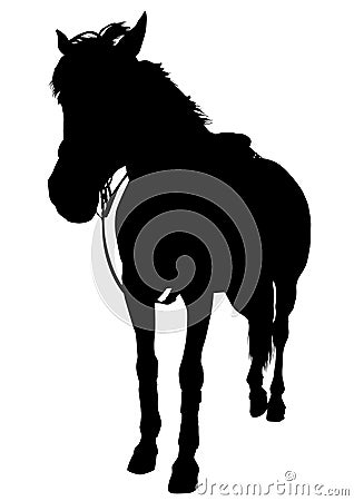 Drawing racehorse Vector Illustration